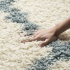 image:imageSAFAVIEH Area Rug 8x10  Dallas Shag Collection  Large  Beige amp Ivory Trellis Pattern NonShedding amp Easy Cleaning Plush Thick Pile Ideal for Living Room Bedroom Dining Space SGD257DIvoryLight Blue