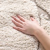 image:imageSAFAVIEH Florida Shag Collection Area Rug  8 x 10 Light Blue amp Cream NonShedding amp Easy Care 12inch Thick Ideal for High Traffic Areas in Living Room Bedroom SG4716011CreamBeige