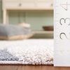 image:imageSAFAVIEH Florida Shag Collection Area Rug  8 x 10 Light Blue amp Cream NonShedding amp Easy Care 12inch Thick Ideal for High Traffic Areas in Living Room Bedroom SG4716011CreamGrey