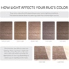 image:imageSAFAVIEH Vision Collection Area Rug  5 Round Light Brown Modern Ombre Design NonShedding amp Easy to Clean Ideal for Living Room Bedroom Dining Space VSN606C