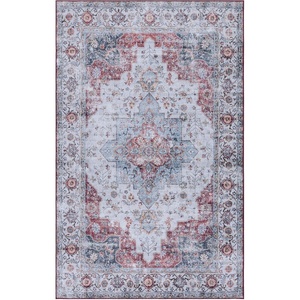 image:imageSAFAVIEH Washable Rug Tucson Collection  5 x 8 Aqua amp Light Blue Slip Resistant amp Easy to Clean Ideal for Living Room Bedroom Dining Space TSN105JLight BlueRust