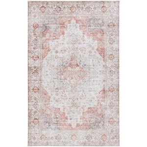 image:imageSAFAVIEH Washable Rug Tucson Collection  5 x 8 Aqua amp Light Blue Slip Resistant amp Easy to Clean Ideal for Living Room Bedroom Dining Space TSN105JLight GreyRust