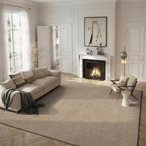 image:imageSAFAVIEH Area Rug 6x9  Athens Shag Collection Pink NonShedding amp Easy to Clean Ideal for Living Room Bedroom Dining Space SGA119PBeige