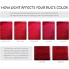image:imageSAFAVIEH Adirondack Collection Accent Rug  26 x 4 Red amp Black Modern Abstract Design NonShedding amp Easy Care Ideal for High Traffic Areas in Entryway Living Room Bedroom ADR117FRed  Black