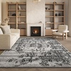 image:imageSAFAVIEH Adirondack Collection Accent Rug  26 x 4 Red amp Black Oriental Distressed Design NonShedding amp Easy Care Ideal for High Traffic Areas in Entryway Living Room Bedroom ADR101FSilverBlack