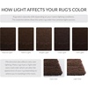 image:imageSAFAVIEH California Shag Collection Accent Rug  23 x 5 Brown NonShedding amp Easy to Clean Ultra Plush Thick Pile Ideal for Foyer Entryway Accent Space SG1512727