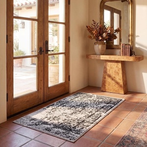 image:imageSAFAVIEH Adirondack Collection Accent Rug  26 x 4 Red amp Black Oriental Distressed Design NonShedding amp Easy Care Ideal for High Traffic Areas in Entryway Living Room Bedroom ADR101FSilverBlack