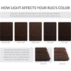 image:imageSAFAVIEH Area Rug 3x5  California Shag Collection  Brown NonShedding amp Easy to Clean Ultra Plush Thick Pile Ideal for Living Room Bedroom Dining Space SG1512727