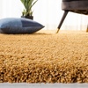 image:imageSAFAVIEH Hudson Shag Collection Accent Rug  2 x 3 Gold Modern Solid Design NonShedding amp Easy Care 2inch Thick Ideal for High Traffic Areas in Entryway Living Room Bedroom SGH220DGold