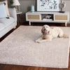image:imageSafavieh Penelope Shag Collection Area Rug  53 x 76 Ivory Geometric Design Ideal for High Traffic Areas in Living Room Bedroom Dining PNL540ABeige