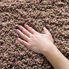 image:imageSAFAVIEH Area Rug 3x5  California Shag Collection  Taupe NonShedding amp Easy to Clean Ultra Plush Thick Pile Ideal for Living Room Bedroom Dining Space SG1512424