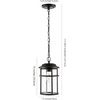 image:imageSAFAVIEH Lighting Collection Cianna Black Outdoor Pendant LED Bulb Included