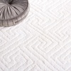 image:imageSAFAVIEH Area Rug 8x10  Tahoe Shag Collection  Large  Grey Modern Design NonShedding amp Easy Cleaning Plush Thick Pile Ideal for Living Room Bedroom Dining Space THO652FWhite