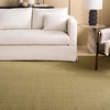 image:imageMartha Stewart x SAFAVIEH Area Rug Collection  8 x 10 Beige amp Ivory Sisal amp Jute Farmhouse Style Ideal for Living Room Bedroom Office Dining Space MSR9501CGreen
