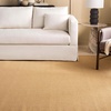 image:imageMartha Stewart x SAFAVIEH Area Rug Collection  8 x 10 Beige amp Ivory Sisal amp Jute Farmhouse Style Ideal for Living Room Bedroom Office Dining Space MSR9501CNaturalGrey
