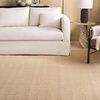 image:imageMartha Stewart x SAFAVIEH Area Rug Collection  8 x 10 Beige amp Ivory Sisal amp Jute Farmhouse Style Ideal for Living Room Bedroom Office Dining Space MSR9501CBeigeIvory
