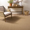 image:imageMartha Stewart x SAFAVIEH Area Rug Collection  8 x 10 Beige amp Ivory Sisal amp Jute Farmhouse Style Ideal for Living Room Bedroom Office Dining Space MSR9501CNaturalWhite