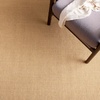 image:imageMartha Stewart x SAFAVIEH Area Rug Collection  8 x 10 Beige amp Ivory Sisal amp Jute Farmhouse Style Ideal for Living Room Bedroom Office Dining Space MSR9501CNatural