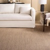 image:imageMartha Stewart x SAFAVIEH Area Rug Collection  8 x 10 Beige amp Ivory Sisal amp Jute Farmhouse Style Ideal for Living Room Bedroom Office Dining Space MSR9501CLight Brown