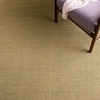 image:imageMartha Stewart x SAFAVIEH Area Rug Collection  8 x 10 Beige amp Ivory Sisal amp Jute Farmhouse Style Ideal for Living Room Bedroom Office Dining Space MSR9501CGreen