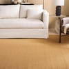 image:imageMartha Stewart x SAFAVIEH Area Rug Collection  8 x 10 Beige amp Ivory Sisal amp Jute Farmhouse Style Ideal for Living Room Bedroom Office Dining Space MSR9501CNaturalGreen