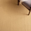 image:imageMartha Stewart x SAFAVIEH Area Rug Collection  8 x 10 Beige amp Ivory Sisal amp Jute Farmhouse Style Ideal for Living Room Bedroom Office Dining Space MSR9501CNaturalGrey