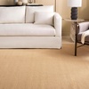 image:imageMartha Stewart x SAFAVIEH Area Rug Collection  8 x 10 Beige amp Ivory Sisal amp Jute Farmhouse Style Ideal for Living Room Bedroom Office Dining Space MSR9501CNatural
