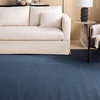 image:imageMartha Stewart x SAFAVIEH Area Rug Collection  8 x 10 Beige amp Ivory Sisal amp Jute Farmhouse Style Ideal for Living Room Bedroom Office Dining Space MSR9501CBlue