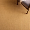 image:imageMartha Stewart x SAFAVIEH Area Rug Collection  8 x 10 Beige amp Ivory Sisal amp Jute Farmhouse Style Ideal for Living Room Bedroom Office Dining Space MSR9501CNaturalGreen