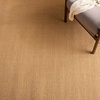 image:imageMartha Stewart x SAFAVIEH Area Rug Collection  8 x 10 Beige amp Ivory Sisal amp Jute Farmhouse Style Ideal for Living Room Bedroom Office Dining Space MSR9501CNaturalNavy
