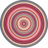 image:imageSAFAVIEH Braided IndoorOutdoor Washable Area Rug 5x8 Multi BRD316AMulti Color