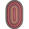 image:imageSAFAVIEH Braided IndoorOutdoor Washable Area Rug 5x8 Multi BRD316AMulti Color
