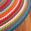 image:imageSAFAVIEH Braided IndoorOutdoor Washable Area Rug 5x8 Multi BRD316AMulti Color